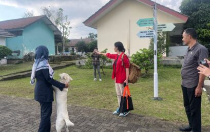 Taman Produktif: Desain Taman dan Area Cuci Kendaraan yang Ramah Difable